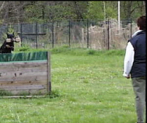 delphi_apport280402neu