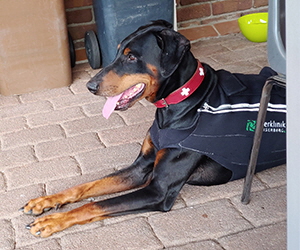 101654481_3150482085016226_3607136495523069952_o