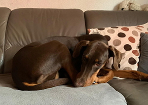 103532373_311491470014938_7771803033011212070_n