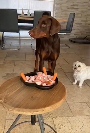 117392501_659426364927313_5204250650747258510_n