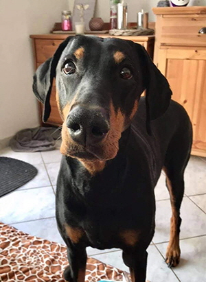 118402327_810936703046697_5133654327769677271_n