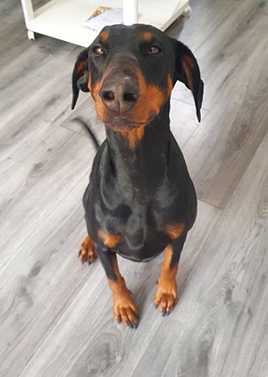 119058187_3768126539918817_8151639414058493152_o