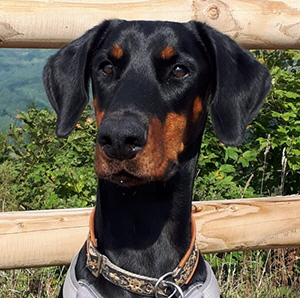 120200537_685635052067272_6806127113853182207_n