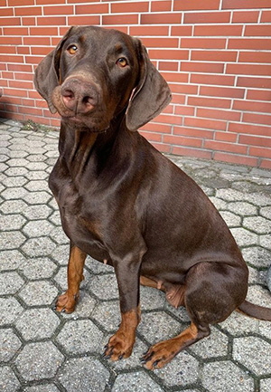 120429665_1332957717035748_5453927267240120972_o