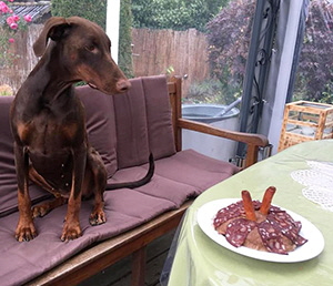 120447014_3293794427384652_4208959024410111908_n