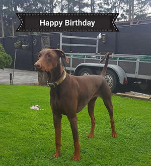 120480910_657020208533788_8705312679565681562_o