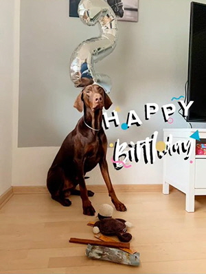 120750771_981336939007174_4596317734982591628_n