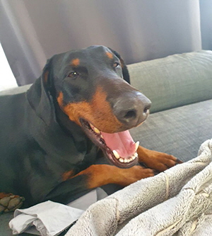 121361851_766121457503958_6428402082871974117_n