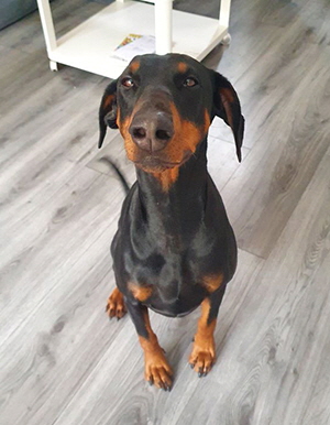 121418130_642777393048893_4911521939712552312_n