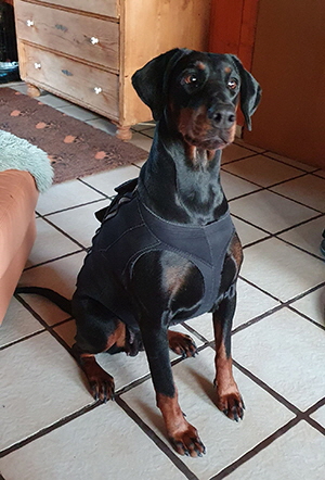 128884716_431829547980313_2882156386190433752_n