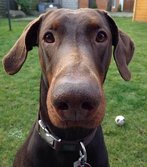 1796460_673619006028977_1582623253_n