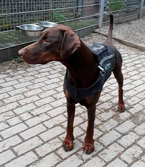 31172269_1681827085248069_4653684102728253440_n