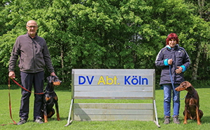 31773060_1780383632005138_1721502890297655296_n