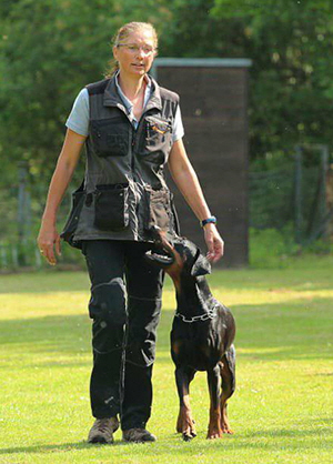 33126635_1706966849400759_7972791376892919808_n