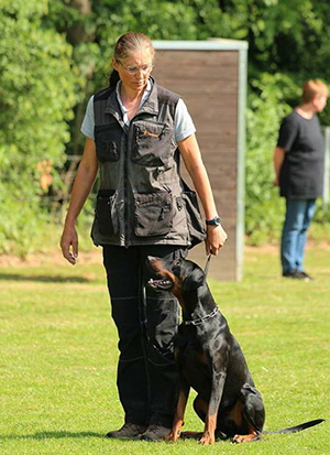 33132525_1706965292734248_1880401815367843840_n