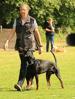 33232503_1706964759400968_6301110399286640640_n