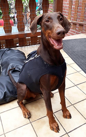 34881897_1725526337544810_8429599017549168640_n