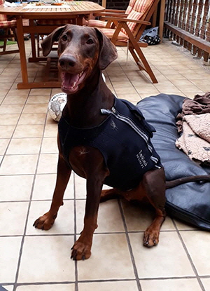 35053149_1725526187544825_3496667020387155968_n1