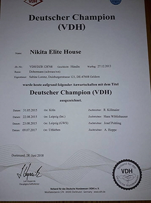 36747077_1760674914029952_4657446335165759488_nklein