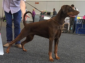 40653600_2318780511472043_946315324058238976_n