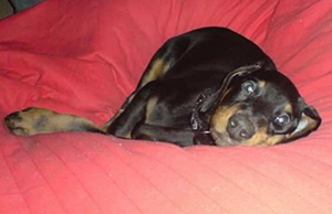 44836554_1902572963155968_4132702297685753856_n