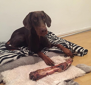 49153886_296860784510151_4341339078642368512_n