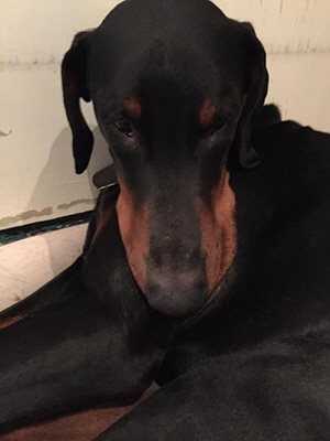 49779910_2111834995540132_9039054095167520768_n