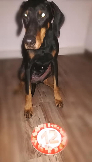 50329111_2149731458403643_3258322045133389824_n