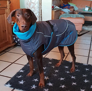 50601715_348300515760077_4317078706762809344_n