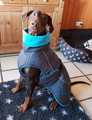 51014171_402598533817906_2479513241642860544_n