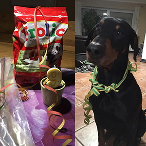 51112602_1019900361540875_3545663947170381824_n