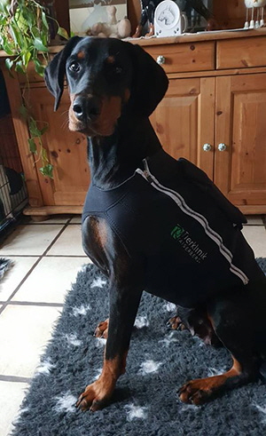 51730748_462130630987577_3465908457478029312_n