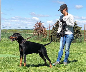 60247163_2195964667167639_2092326685847322624_n