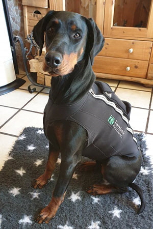 60624865_409811136240345_8928462797579223040_n