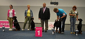 61608163_275327919926664_1651475067739045888_n