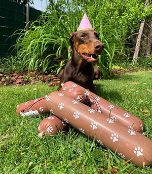 61688511_2232238596873579_2520576281498615808_n