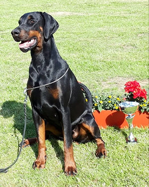 62647950_1202728573241617_8619816457594732544_n