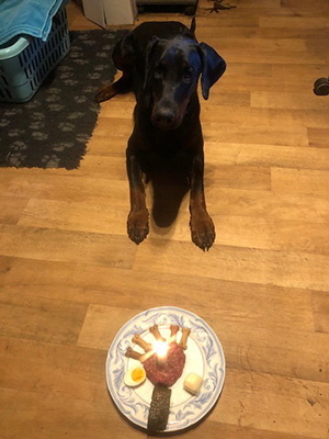 65817278_1608099142659894_7664418471706361856_n