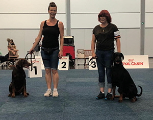 69507453_2374364215994349_6111008588350619648_n