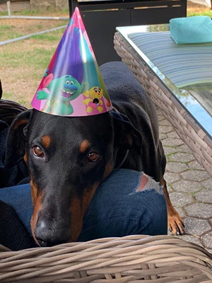 69669450_529839171120911_7308374646464708608_n