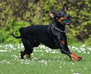 71642867_2613379992089195_7532021706760650752_o