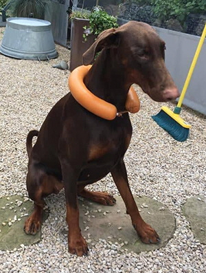 71854014_927132050995573_8964649340157034496_n