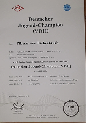 72976200_2473710036059766_9084220276194934784_nklein