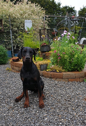 73333417_268549677755572_4708137144747126783_n