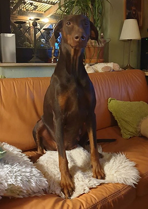 75158896_2526266410804128_864586838059253760_o