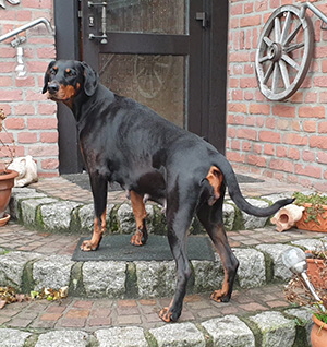 81251319_2275695602729968_8141281354777100288_n