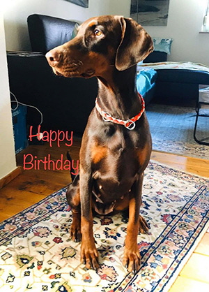 81765170_2905945819435687_2922470488942837760_o