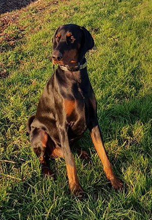 82161463_1045444535792202_3745049810953043968_o