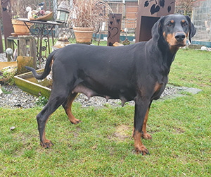 82344874_2650311738420523_7365557445906661376_n