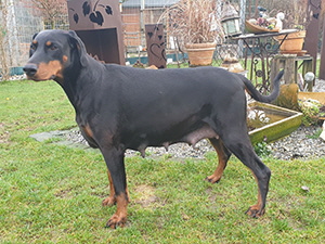 82479947_487191728873102_5113326103972282368_n